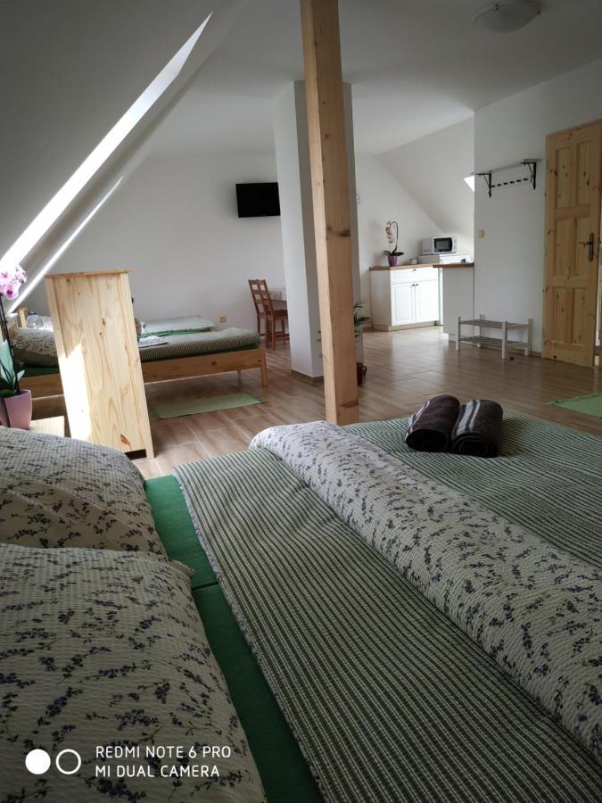 Ubytovani Ve Stodole Stráž nad Nežárkou Extérieur photo