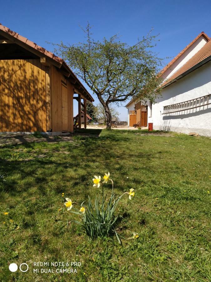 Ubytovani Ve Stodole Stráž nad Nežárkou Extérieur photo