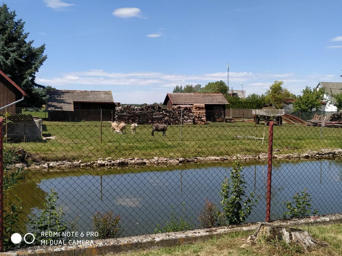 Ubytovani Ve Stodole Stráž nad Nežárkou Extérieur photo